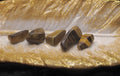 Golden Tiger's eye